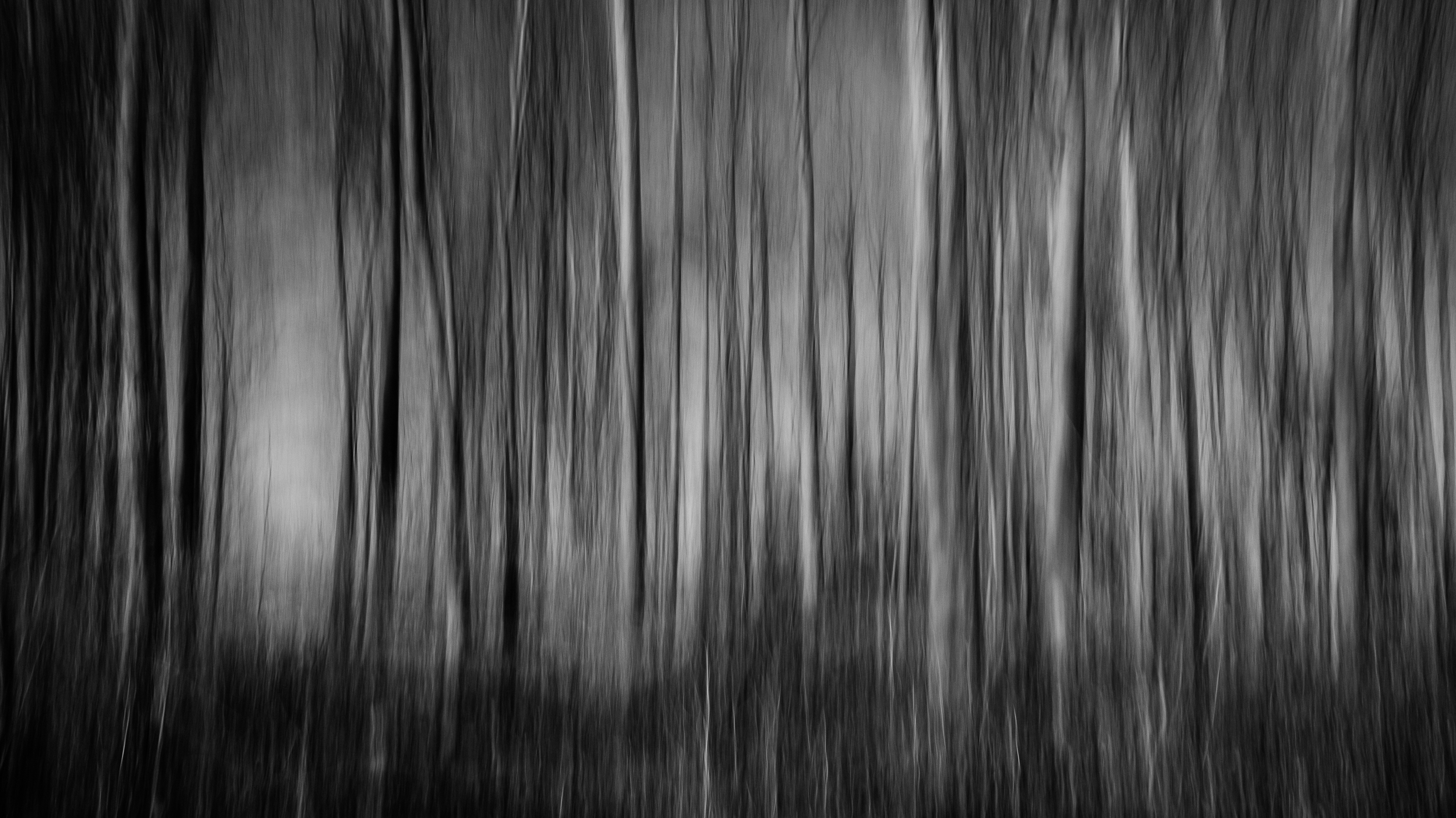 Impressum, oder wie man den Wald vor lauter Bäumen nicht sieht.